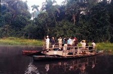 Peru-Amazon-Manu Macaw Lick Getaway in the Amazon